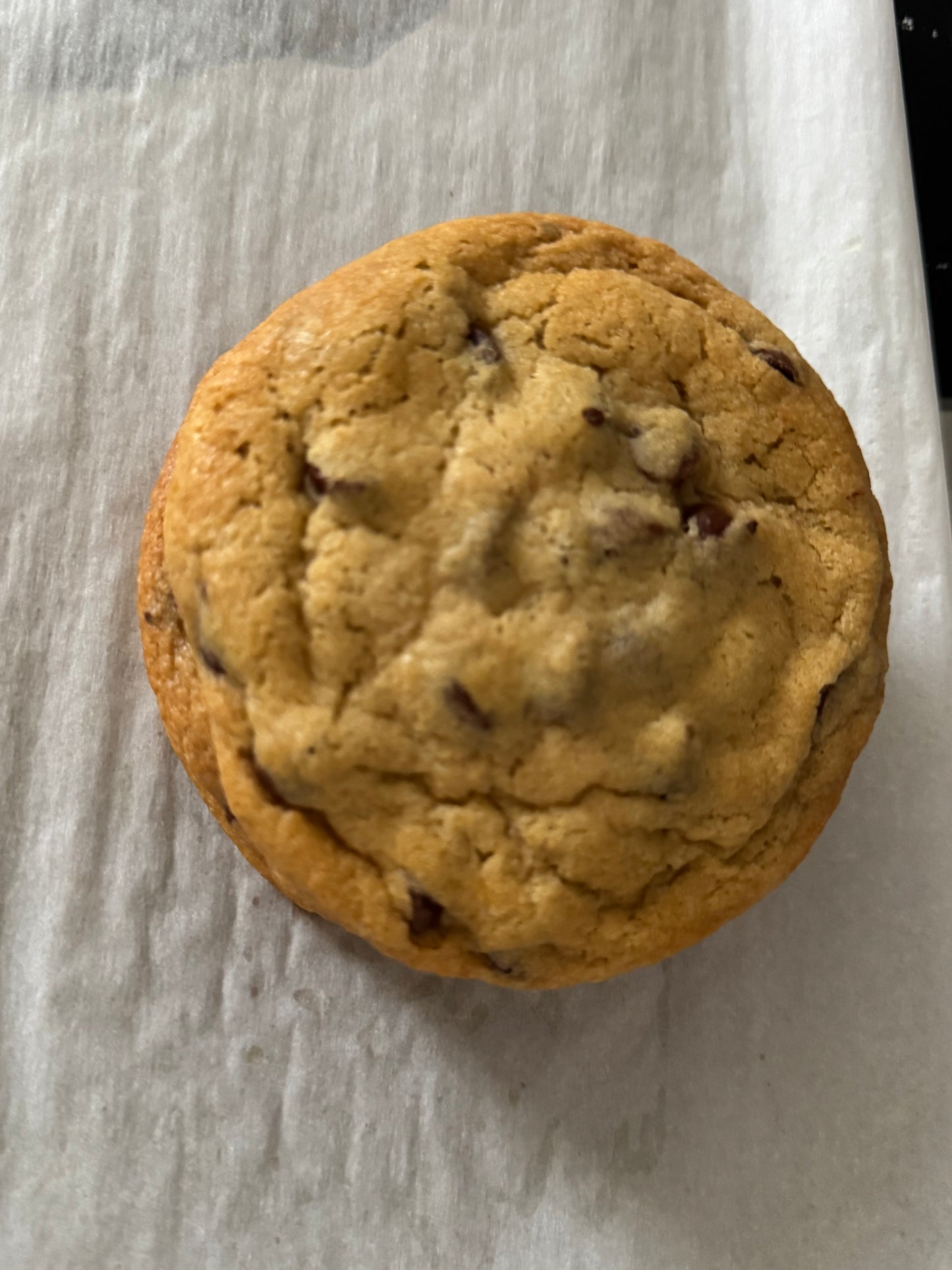 Vegan Chocolate Chip